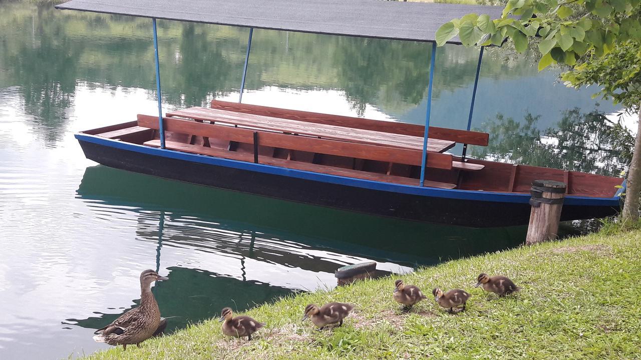 Amal Grand Villa Bihać Zewnętrze zdjęcie